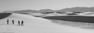 IMG_8299-2