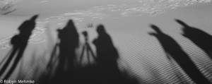 IMG_8334