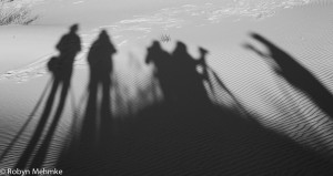 IMG_8335