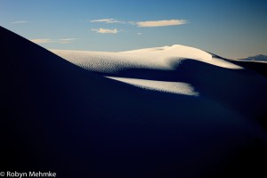IMG_8486